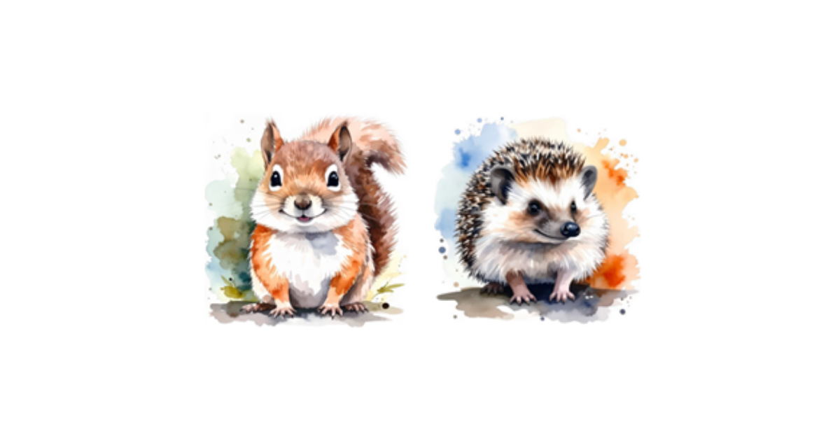 Year 1 Hedgehogs and Squirrels