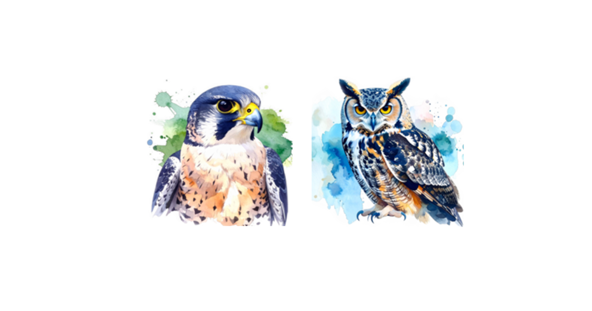 Year 4 Merlins and Owls